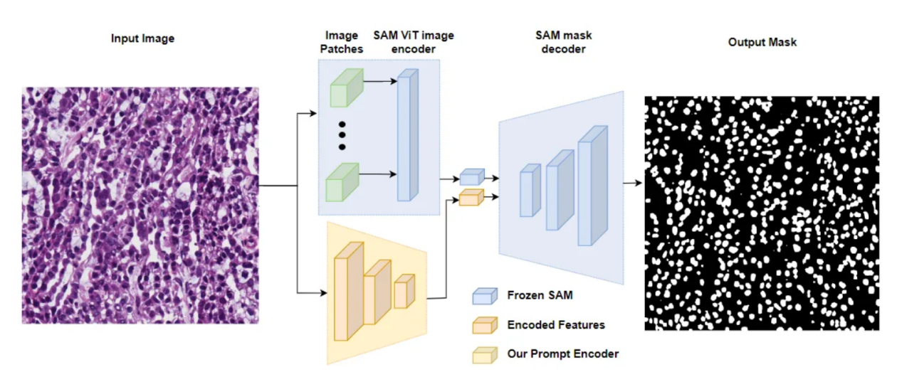 Meta公司开源大数据模型SAM实战演练-AI.x社区