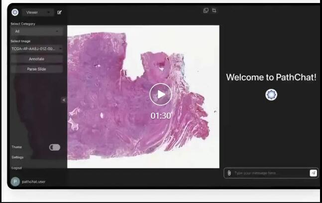 哈佛、麻省推出面向医学多模态助手—PathChat-AI.x社区