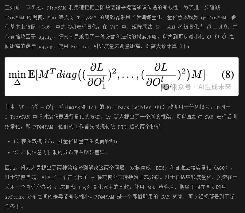 首篇！全面系统解读高效SAM变体：各种加速策略和核心技术展示-AI.x社区